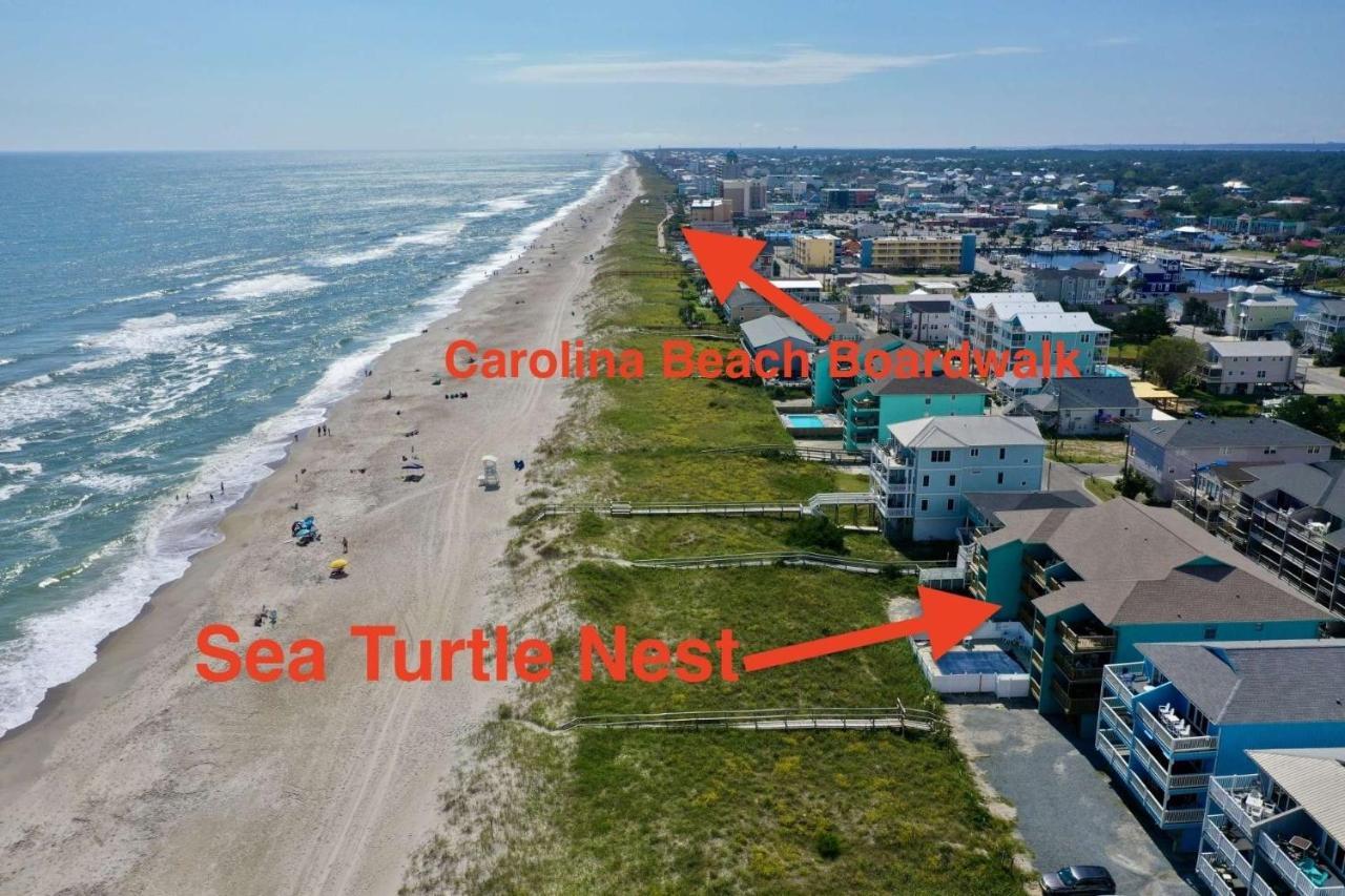 Sea Turtle'S Nest Vila Carolina Beach Exterior foto